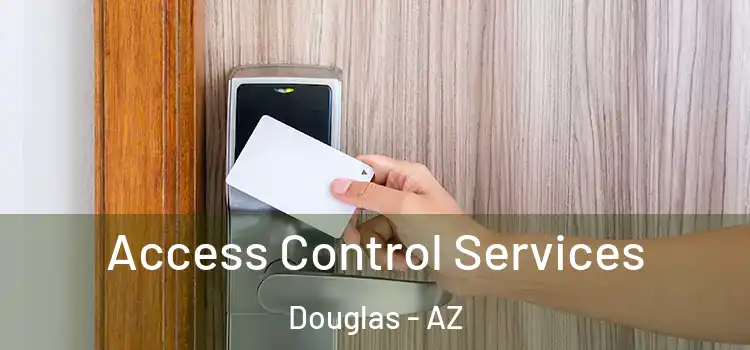 Access Control Services Douglas - AZ