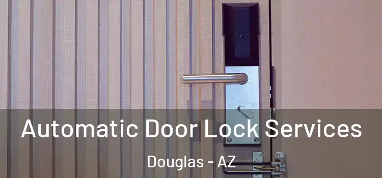 Automatic Door Lock Services Douglas - AZ