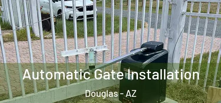 Automatic Gate Installation Douglas - AZ