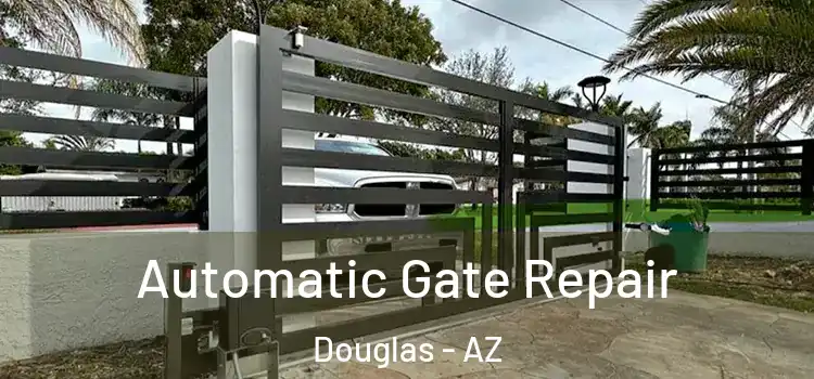 Automatic Gate Repair Douglas - AZ