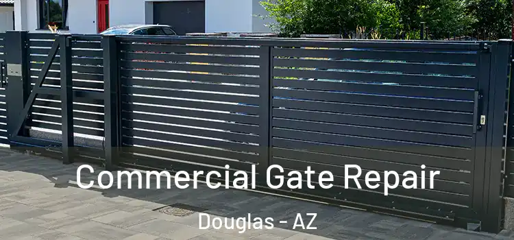 Commercial Gate Repair Douglas - AZ