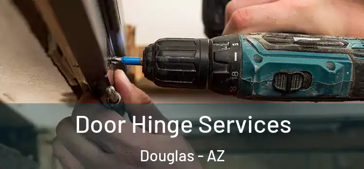 Door Hinge Services Douglas - AZ