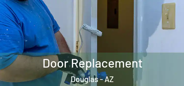 Door Replacement Douglas - AZ
