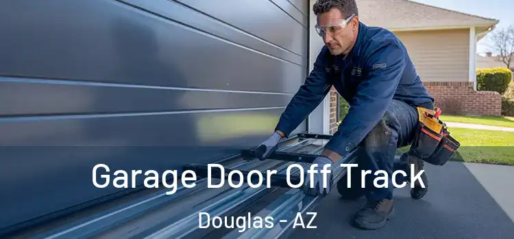  Garage Door Off Track Douglas - AZ