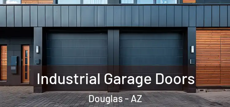  Industrial Garage Doors Douglas - AZ