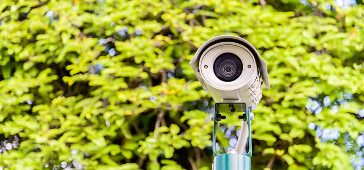 Advanced Surveillance Solutions for Every Need in Douglas