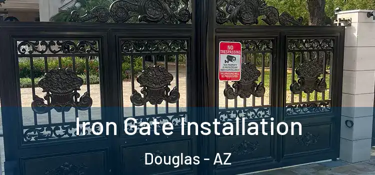 Iron Gate Installation Douglas - AZ
