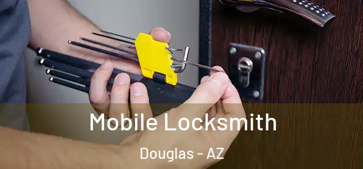 Mobile Locksmith Douglas - AZ