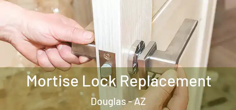 Mortise Lock Replacement Douglas - AZ