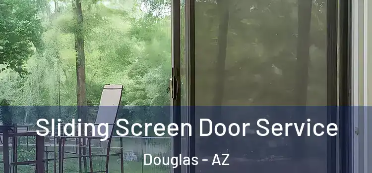 Sliding Screen Door Service Douglas - AZ