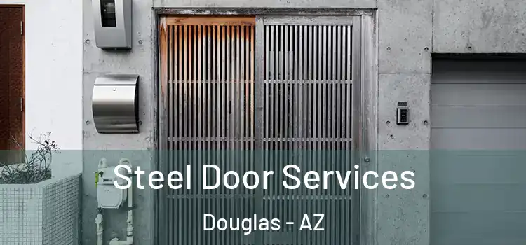 Steel Door Services Douglas - AZ